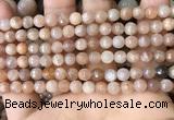 CMS1678 15.5 inches 6mm faceted round moonstone beads wholesale