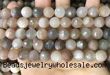 CMS1694 15.5 inches 10mm faceted round rainbow moonstone beads