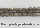 CMS1775 15.5 inches 8*12mm faceted rice AB-color moonstone beads