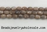 CMS1778 15.5 inches 13*18mm faceted drum AB-color moonstone beads