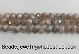 CMS1788 15.5 inches 8mm faceted coin AB-color moonstone beads