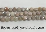 CMS1789 15.5 inches 10mm faceted coin AB-color moonstone beads