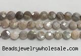 CMS1790 15.5 inches 12mm faceted coin AB-color moonstone beads