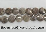 CMS1794 15.5 inches 20mm faceted coin AB-color moonstone beads