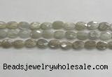 CMS1806 15.5 inches 8*12mm faceted oval AB-color moonstone beads