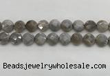 CMS1819 15.5 inches 14mm faceted coin AB-color moonstone beads