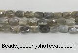 CMS1825 15.5 inches 12*16mm faceted rectangle AB-color moonstone beads