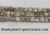 CMS1828 15.5 inches 12*12mm faceted square AB-color moonstone beads