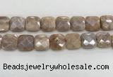 CMS1833 15.5 inches 20*20mm faceted square AB-color moonstone beads