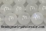 CMS1902 15.5 inches 8mm round white moonstone gemstone beads