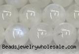 CMS1903 15.5 inches 10mm round white moonstone gemstone beads