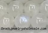 CMS1904 15.5 inches 12mm round white moonstone gemstone beads