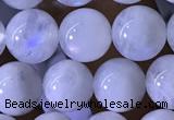 CMS1922 15.5 inches 8mm round white moonstone gemstone beads