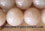 CMS1932 15.5 inches 10mm round moonstone beads wholesale