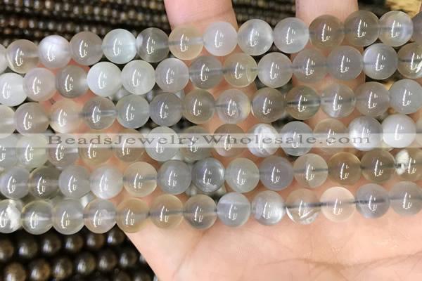 CMS1942 15.5 inches 8mm round grey moonstone beads wholesale