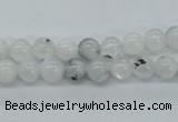 CMS201 15.5 inches 6mm round moonstone gemstone beads wholesale