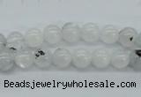 CMS202 15.5 inches 7mm round moonstone gemstone beads wholesale