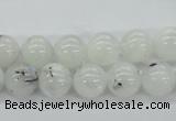 CMS204 15.5 inches 10mm round moonstone gemstone beads wholesale