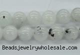 CMS205 15.5 inches 11mm round moonstone gemstone beads wholesale