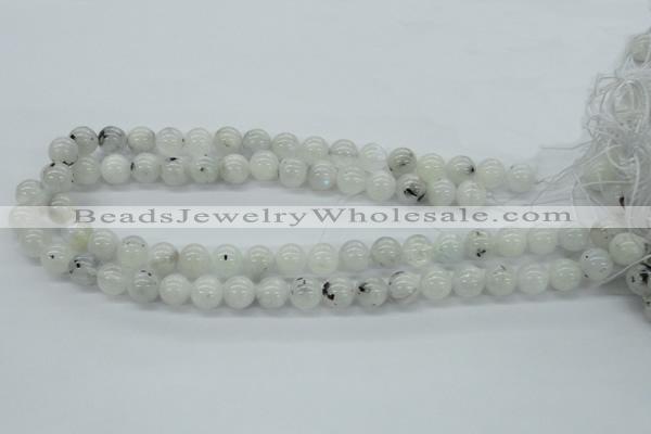 CMS205 15.5 inches 11mm round moonstone gemstone beads wholesale