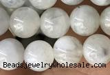 CMS2050 15.5 inches 6mm round moonstone gemstone beads