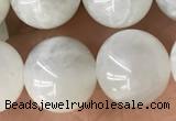 CMS2052 15.5 inches 10mm round moonstone gemstone beads