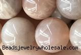 CMS2056 15.5 inches 10mm round moonstone gemstone beads