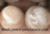 CMS2057 15.5 inches 12mm round moonstone gemstone beads