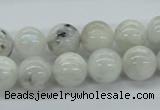 CMS206 15.5 inches 12mm round moonstone gemstone beads wholesale