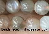 CMS2060 15.5 inches 8mm round moonstone gemstone beads