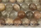 CMS2086 15 inches 6mm round moonstone gemstone beads