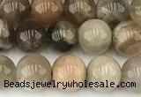 CMS2087 15 inches 8mm round moonstone gemstone beads