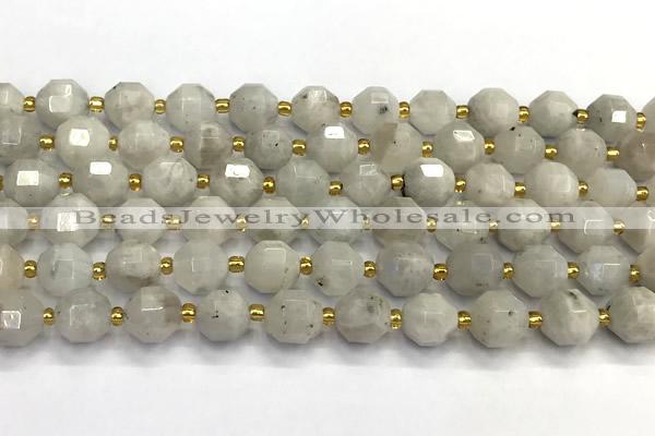 CMS2090 15 inches 9mm - 10mm faceted white moonstone beads