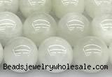 CMS2096 15 inches 8mm round white moonstone beads