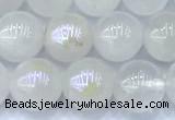 CMS2101 15 inches 8mm round AB-color moonstone beads