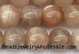 CMS2110 15 inches 7mm round moonstone beads