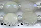 CMS2130 15 inches 8*10mm - 9*12mm faceted nuggets AB-color moonstone beads