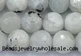 CMS2141 15 inches 8mm faceted round white moonstone beads