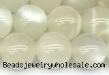 CMS2155 15 inches 10mm round white moonstone beads