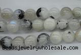 CMS216 15.5 inches 8mm round white moonstone gemstone beads