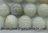 CMS217 15.5 inches 16mm round white moonstone gemstone beads