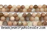 CMS2275 15 inches 10mm round rainbow moonstone gemstone beads