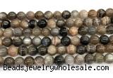 CMS2288 15 inches 8mm round grey moonstone beads wholesale