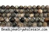 CMS2289 15 inches 10mm round grey moonstone beads wholesale