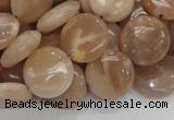 CMS23 15.5 inches 14mm flat round moonstone gemstone beads wholesale