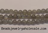 CMS300 15.5 inches 5mm round natural grey moonstone beads wholesale