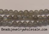 CMS301 15.5 inches 6mm round natural grey moonstone beads wholesale