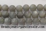 CMS304 15.5 inches 9mm round natural grey moonstone beads wholesale