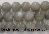 CMS307 15.5 inches 12mm round natural grey moonstone beads wholesale