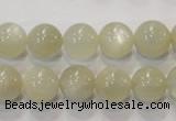 CMS313 15.5 inches 10mm round natural moonstone beads wholesale